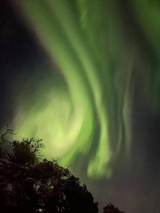 Leilighet I Rolig Gate Med Utsikt Og Gratis Parkering Apartman Tromsø Kültér fotó